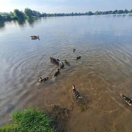 Ferienhaus Am See-2 Hungen Ngoại thất bức ảnh